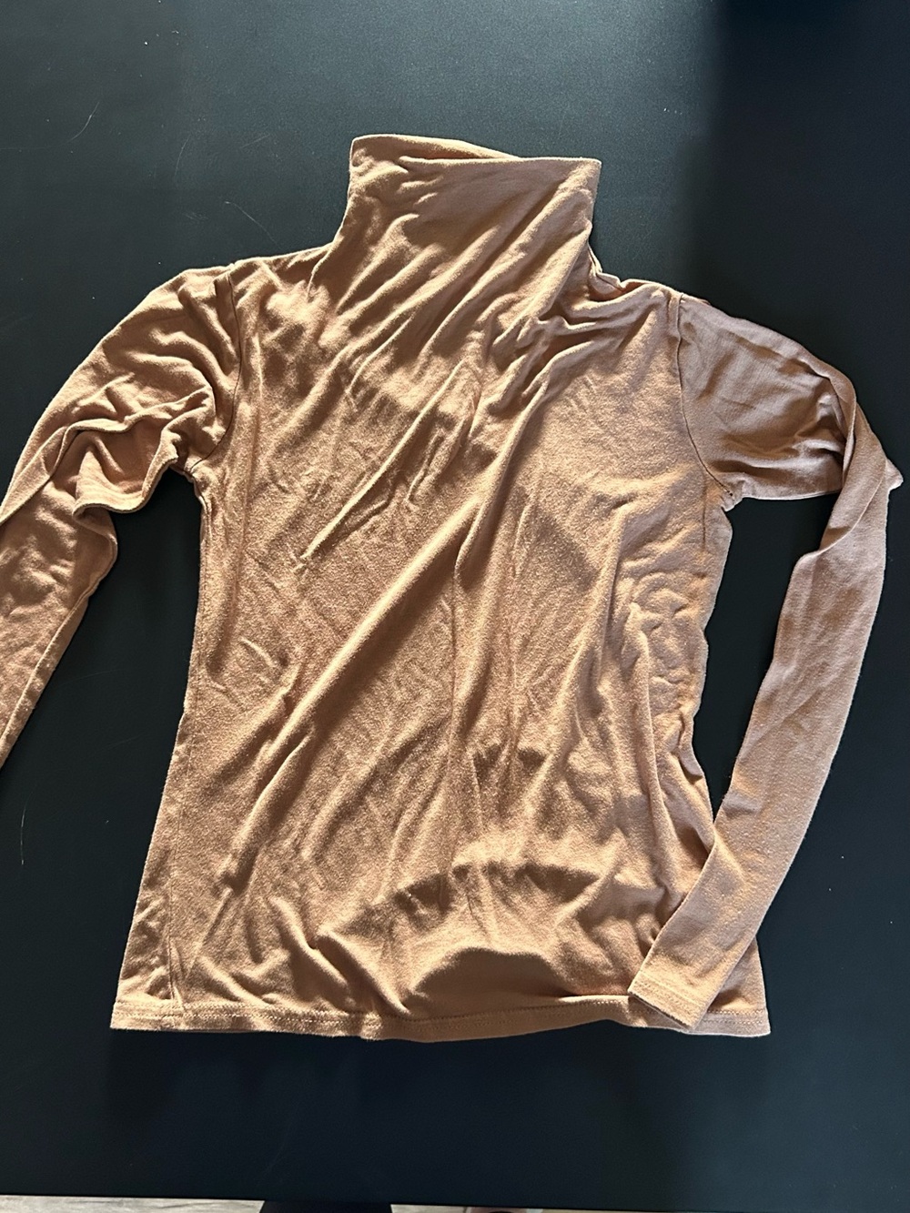 Dynamite Long Sleeve Turtleneck Top - Tan